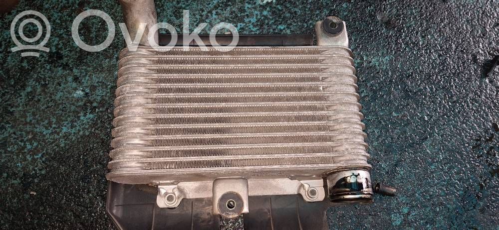 Radiador intercooler