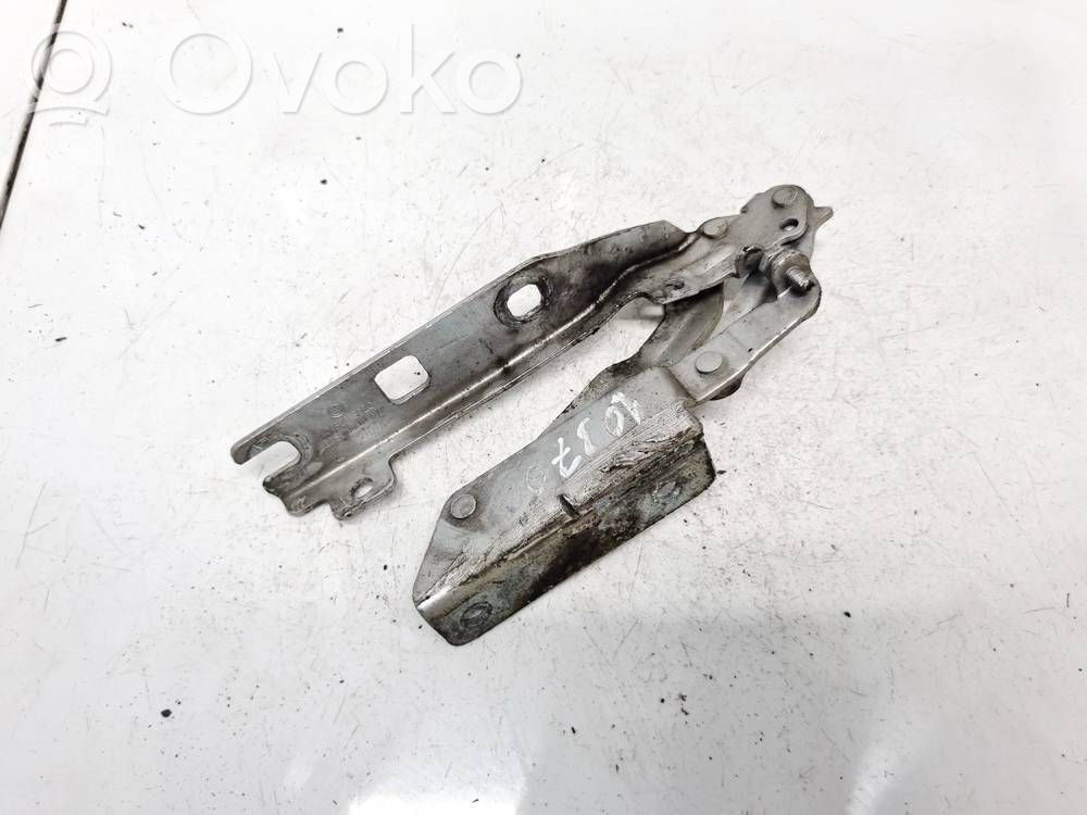 Volkswagen Golf V Balamale capotă