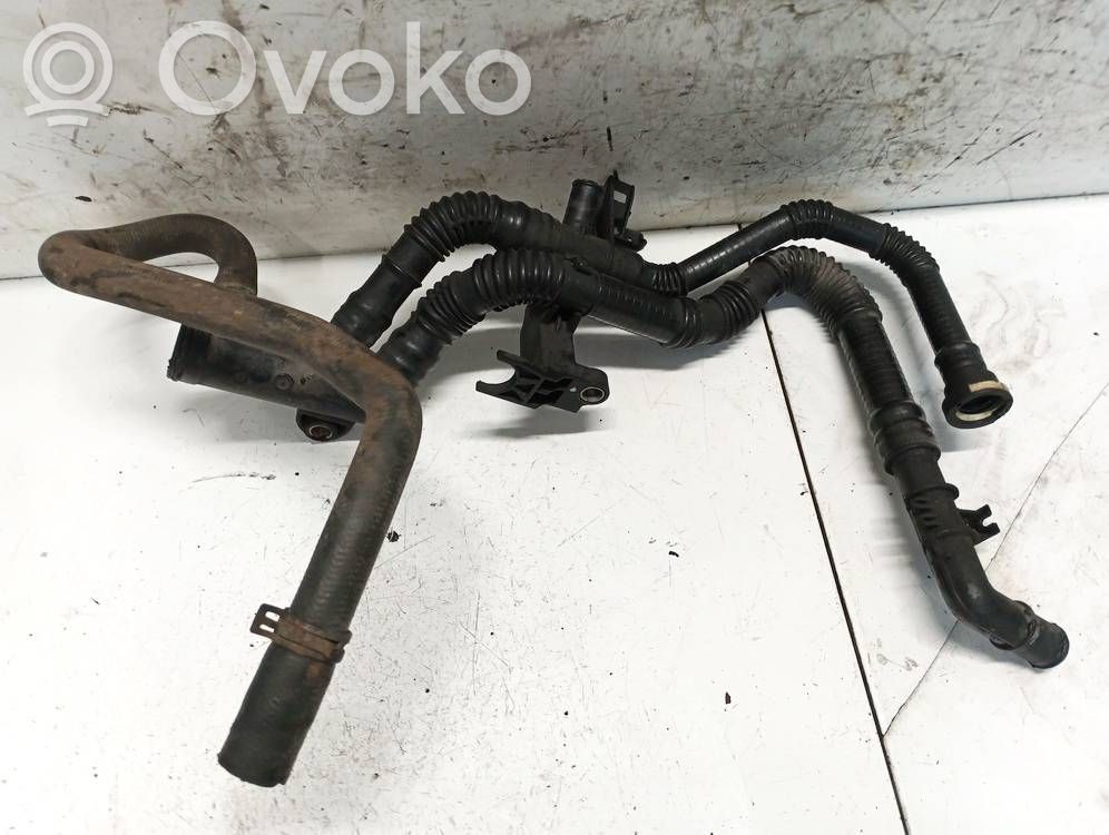 Ford Focus Tubo flessibile radiatore 