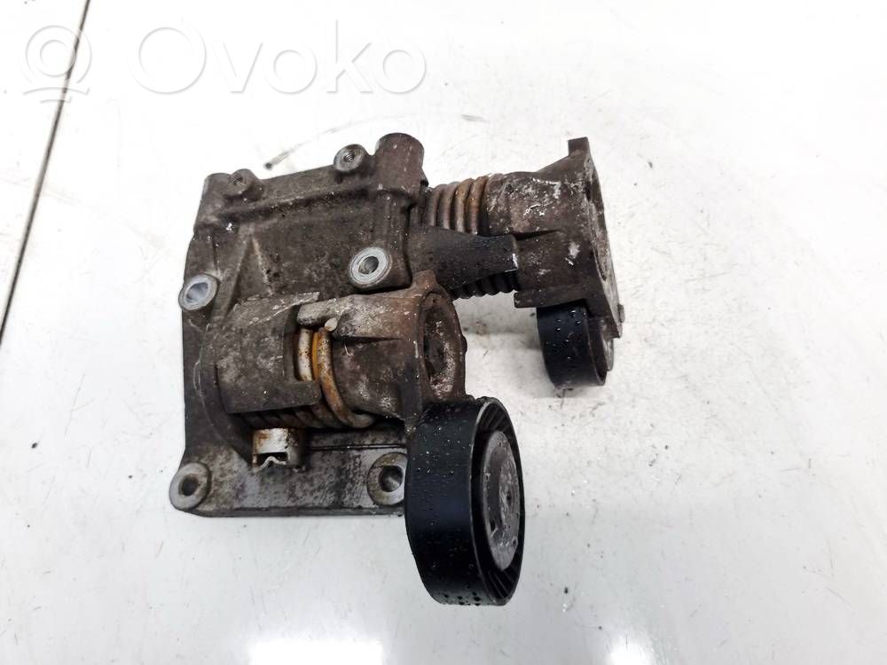 Volvo S40 Napinacz paska alternatora 
