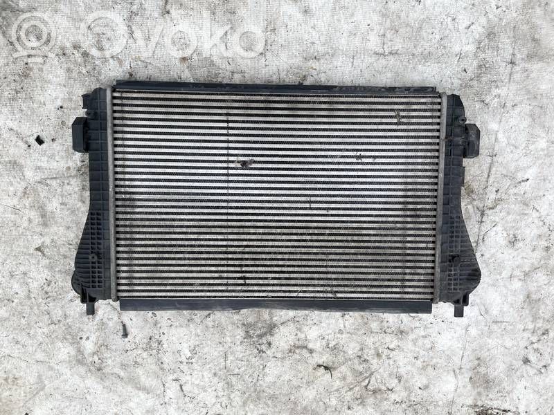 Skoda Octavia Mk2 (1Z) Radiator intercooler 