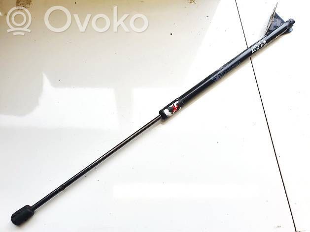 Citroen C4 II Picasso Ammortizzatore portellone posteriore/bagagliaio 
