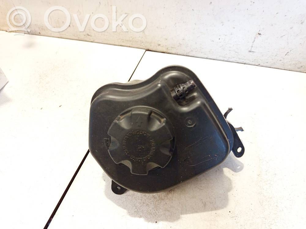 BMW X6 E71 Vas expansiune/rezervor lichid de răcire 