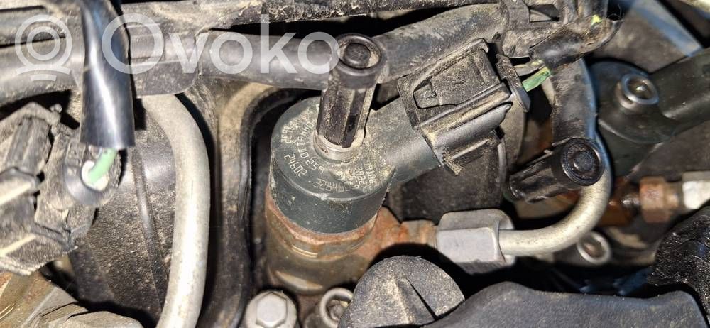 Injector combustibil   0445110259,0445110259