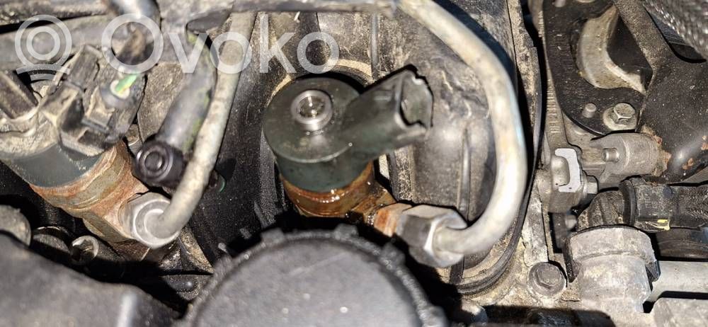 Injecteur de carburant   0445110259,0445110259