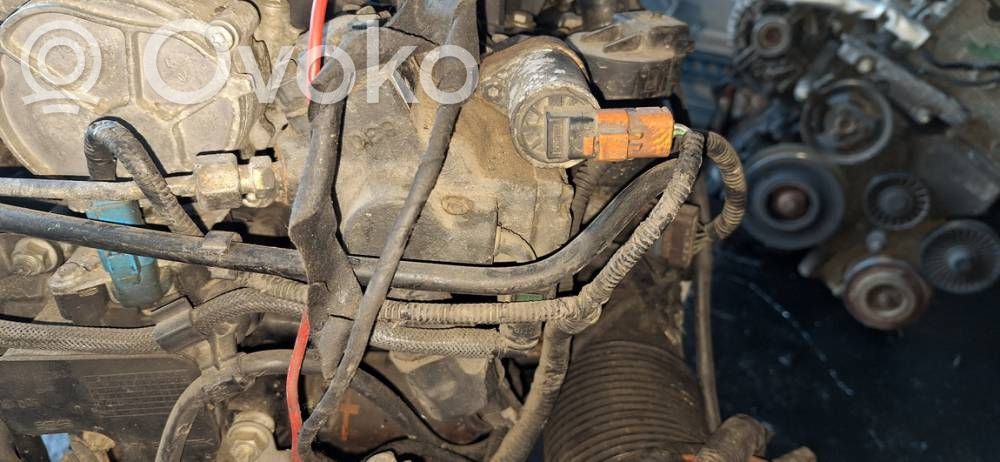 Bomba de alta presión de inyección de combustible   A2C20000598,A2C20000598