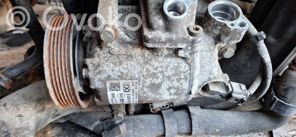 Skoda Octavia Mk2 (1Z) Compressore aria condizionata (A/C) (pompa)