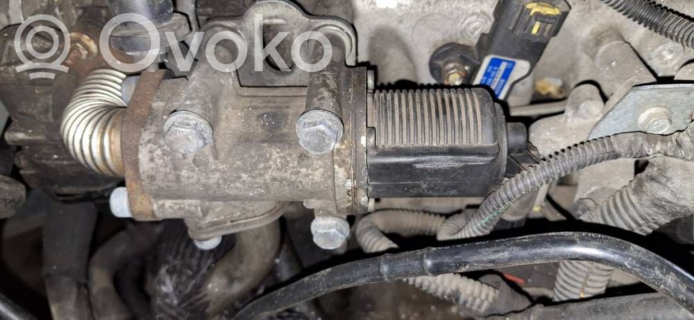 EGR-venttiili   50024005,09T203,09T203,50024005