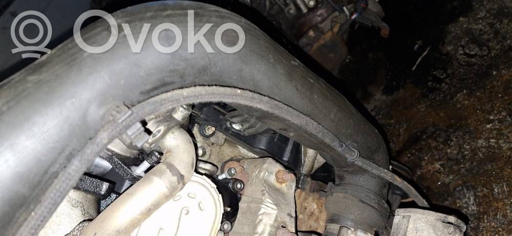 Skoda Octavia Mk2 (1Z) Tube d'admission de tuyau de refroidisseur intermédiaire