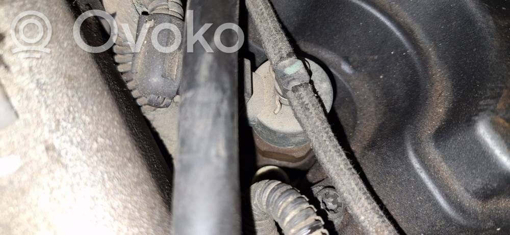 Inyector de combustible   0445110119,0445110119