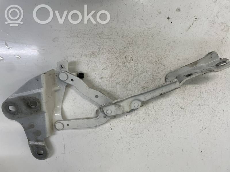 BMW X1 E84 Cerniere del vano motore/cofano 