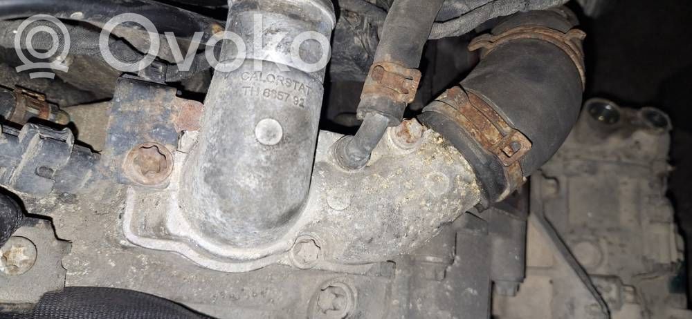 Opel Vectra C Przewód / Wąż chłodnicy 