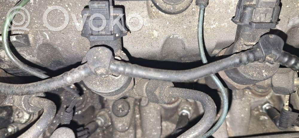 Inyector de combustible   0445110021,7700111014,0445110021,7700111014