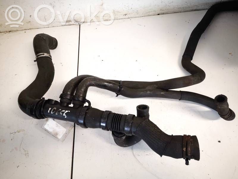 Renault Laguna III Conductă/furtun lichid de răcire motor 
