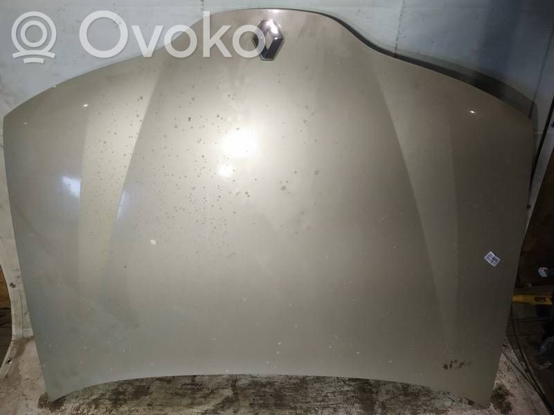 Motorhaube   RUDAS,RUDAS