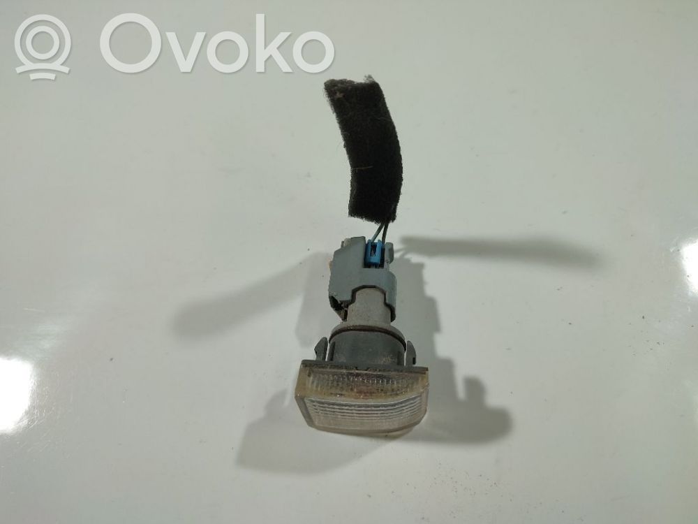 Chevrolet Aveo Seitenblinker 