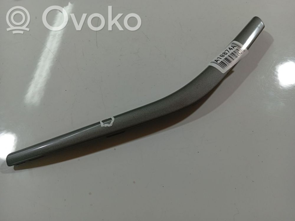 Ford Focus Altra parte interiore 