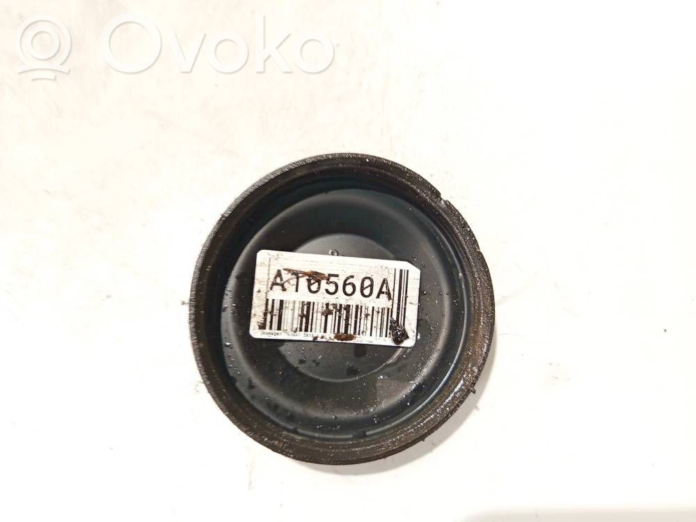 Volkswagen PASSAT B7 Priekinio žibinto dangtelis 