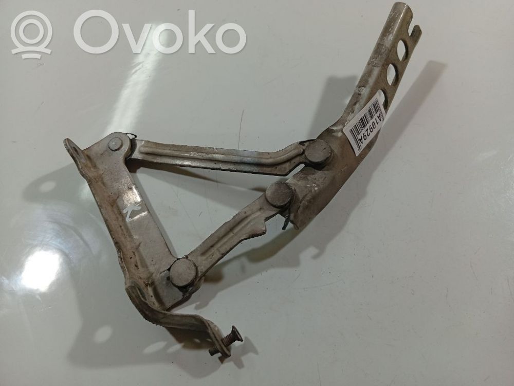 Skoda Roomster (5J) Charnière, capot moteur 