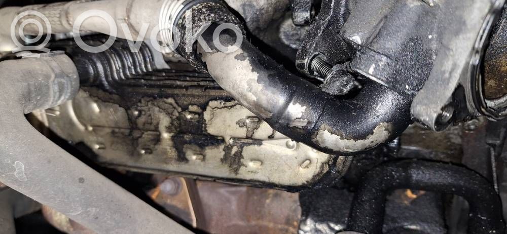 Volkswagen Touran I Chłodnica spalin EGR