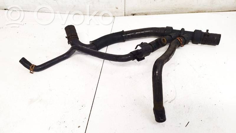Renault Megane I Caurulīte (-es) / šļūtene (-es) 