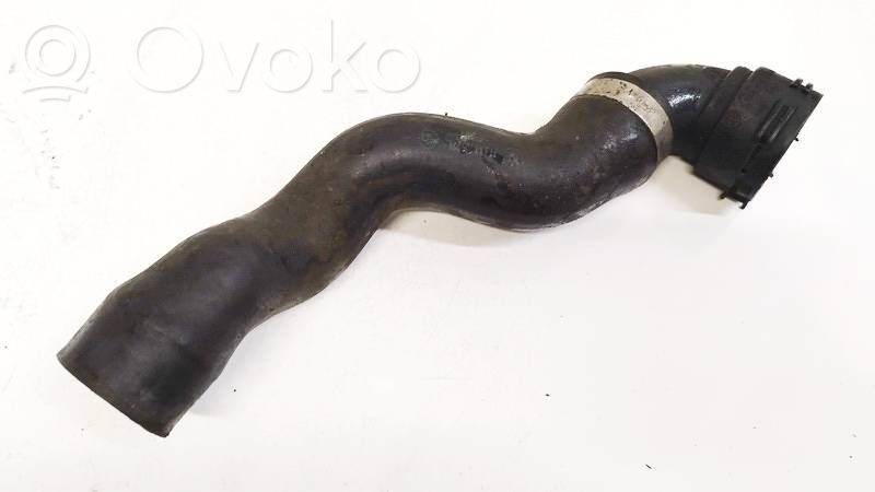 BMW 5 E39 Engine coolant pipe/hose 