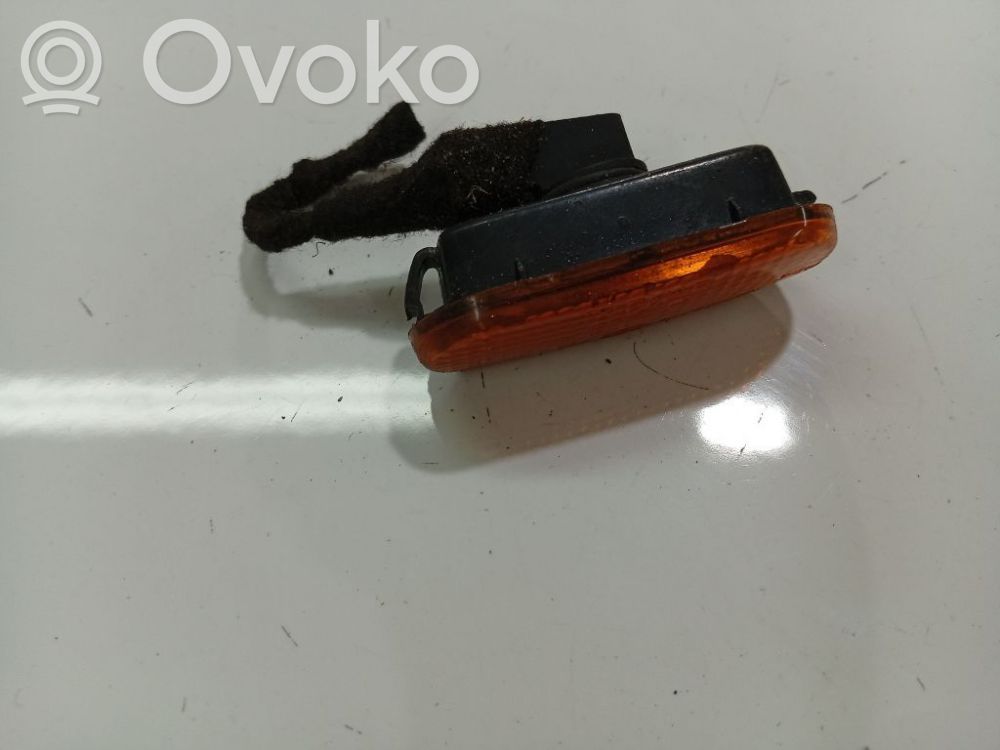 Front fender indicator light