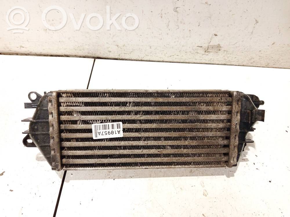 Mini One - Cooper R50 - 53 Interkūlerio radiatorius 
