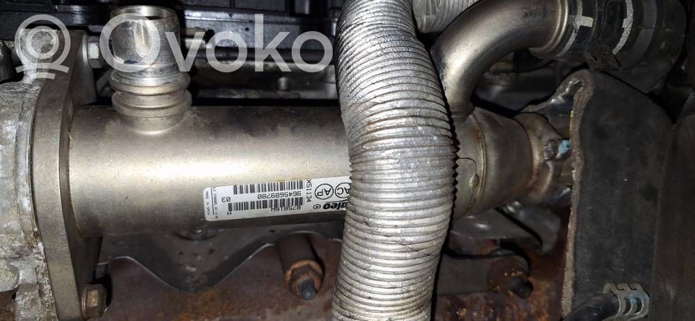 Răcitor supapă EGR   9645689780,9645689780