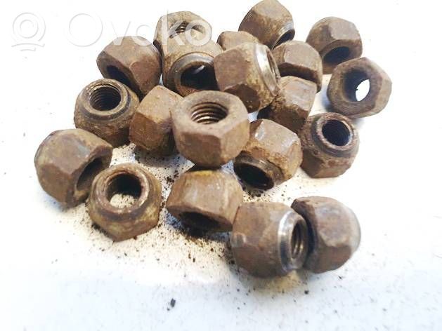 Mutterit/pultit