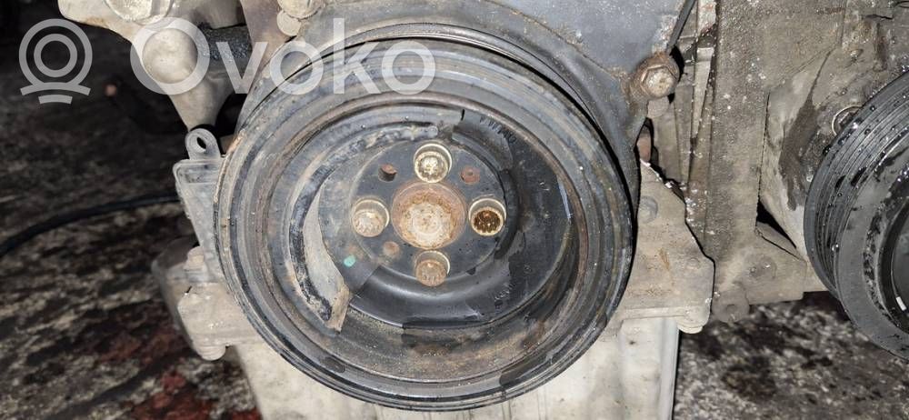 Volkswagen Polo IV 9N3 Puleggia dell’albero motore 