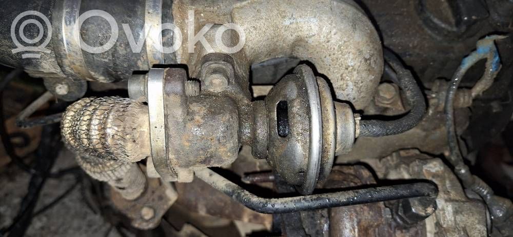 Volkswagen PASSAT B5 Valvola EGR 