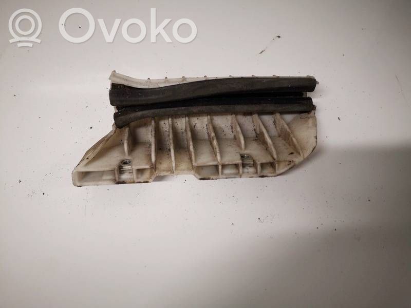Citroen C3 Ornament geam ușă spate 