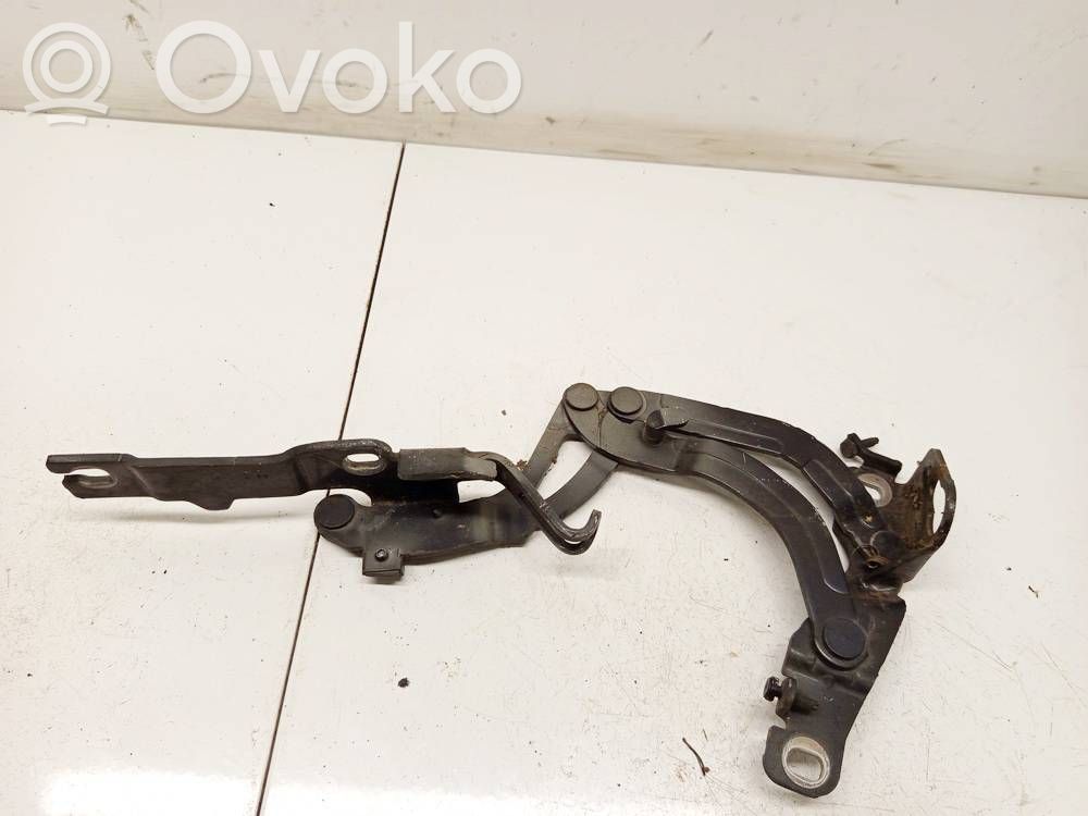 Peugeot RCZ Cerniere del vano motore/cofano 
