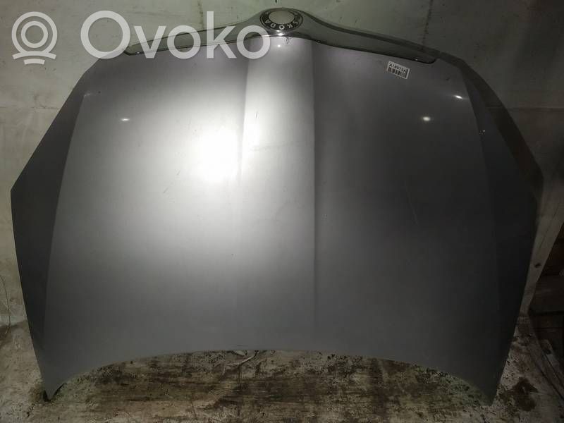Skoda Roomster (5J) Motorhaube