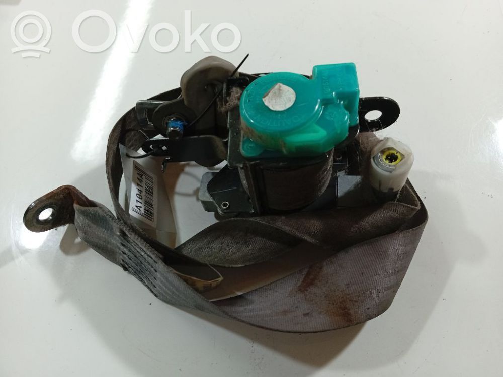 Cinturón delantero   0428113,0064555,0428113