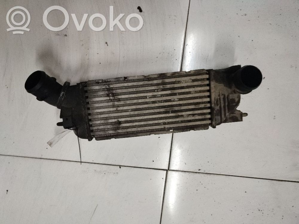 Peugeot 407 Radiator intercooler 