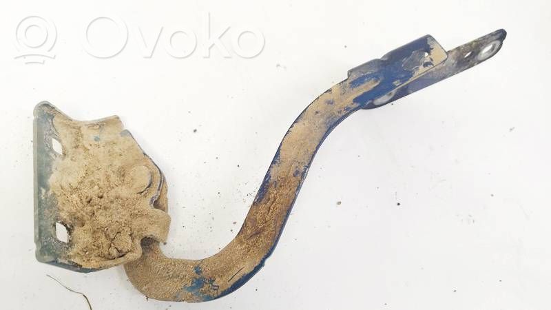 Renault Modus Engine bonnet/hood hinges 