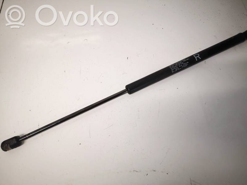 Amortizor hayon   5802A008,5802A008