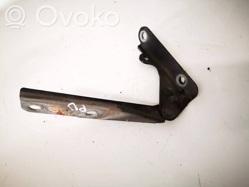 Seat Ibiza III (6L) Konepellin saranat 
