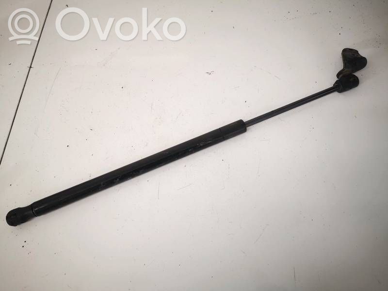 Tesla Model S Tailgate/trunk strut/damper 