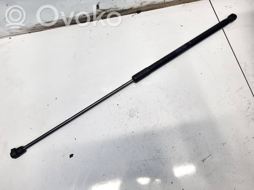 Land Rover Range Rover Evoque L538 Amortizor hayon 