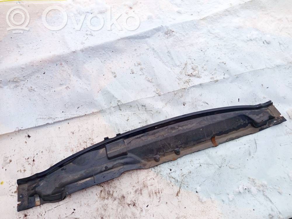 Ford Focus Moldura del limpia 