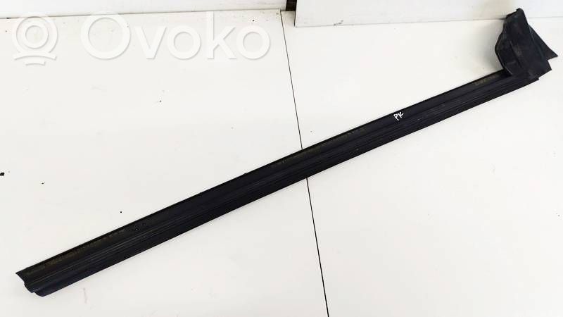 Tesla Model 3 Rivestimento modanatura del vetro della portiera anteriore