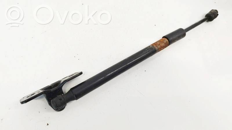 Tesla Model 3 Vérin, capot-moteur