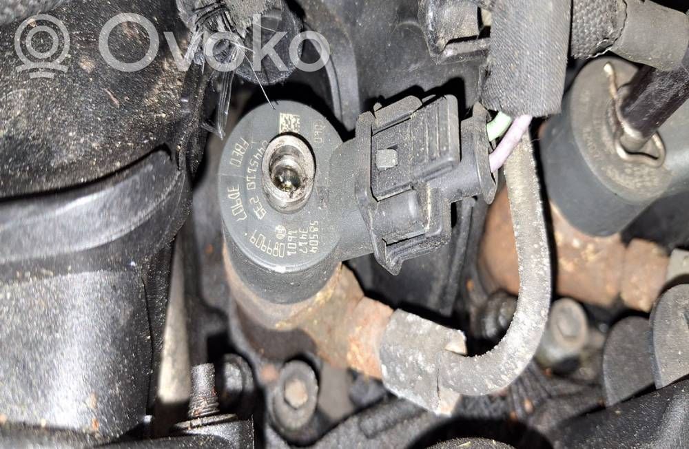 Injektor Einspritzdüse   0445110239,0445110239