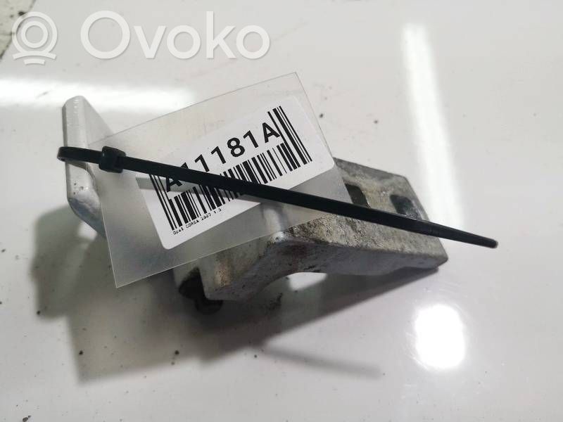Rear door lower hinge