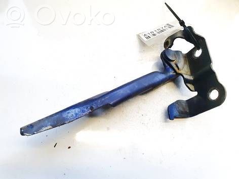 Bisagras del capó/tapa del motor