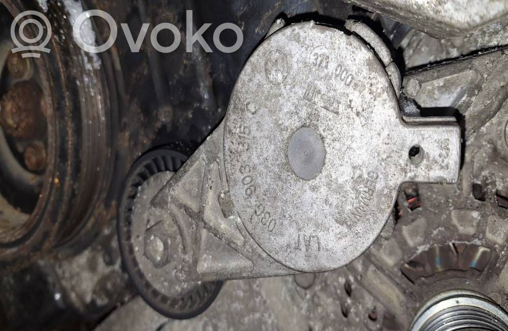 Skoda Octavia Mk2 (1Z) Napinacz paska alternatora 