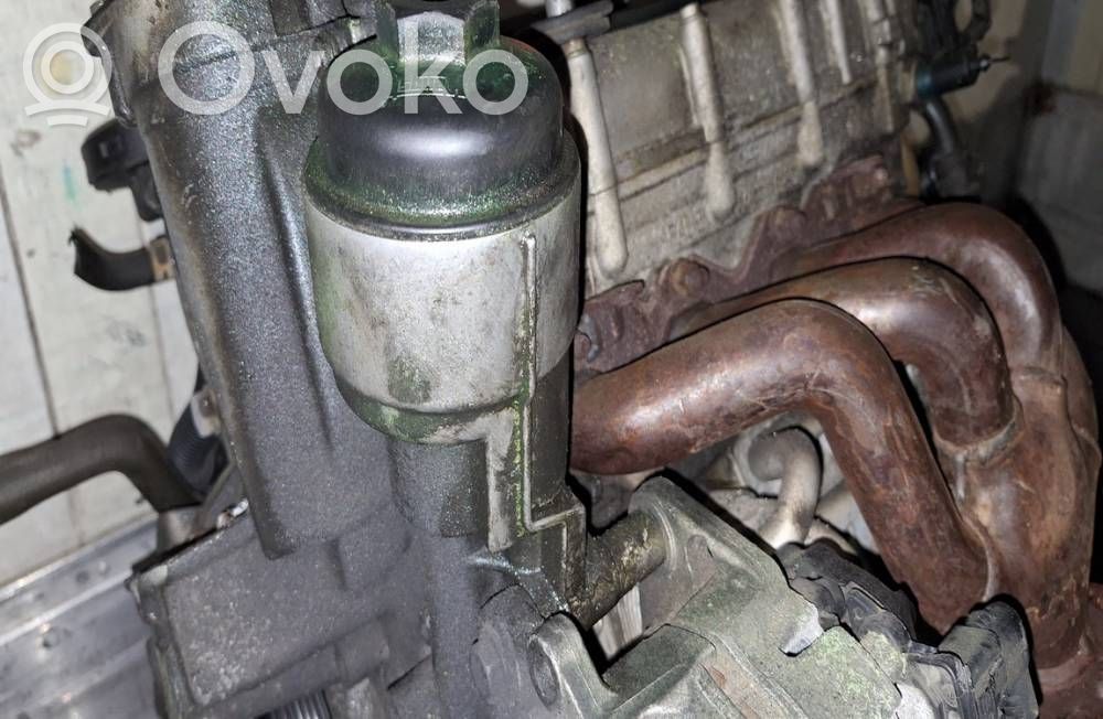 Volkswagen Jetta V Nakrętka filtra oleju 